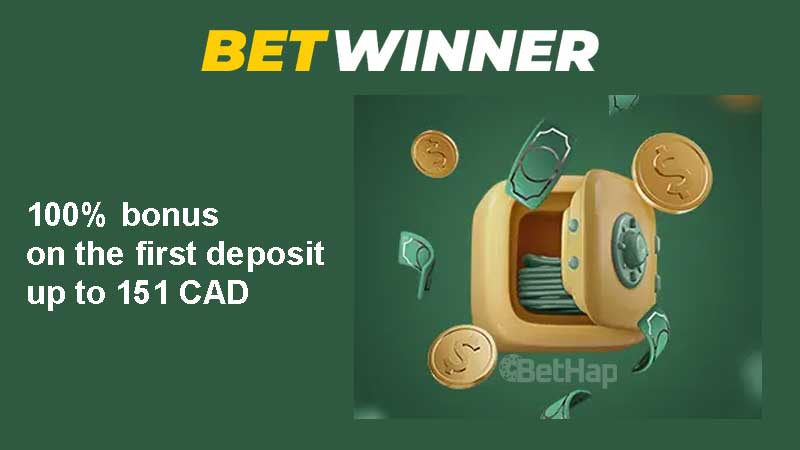 Discover BetWinner Aviator The Ultimate Flight in Online Gaming