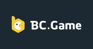 Discovering Exciting Opportunities with BCGA.me