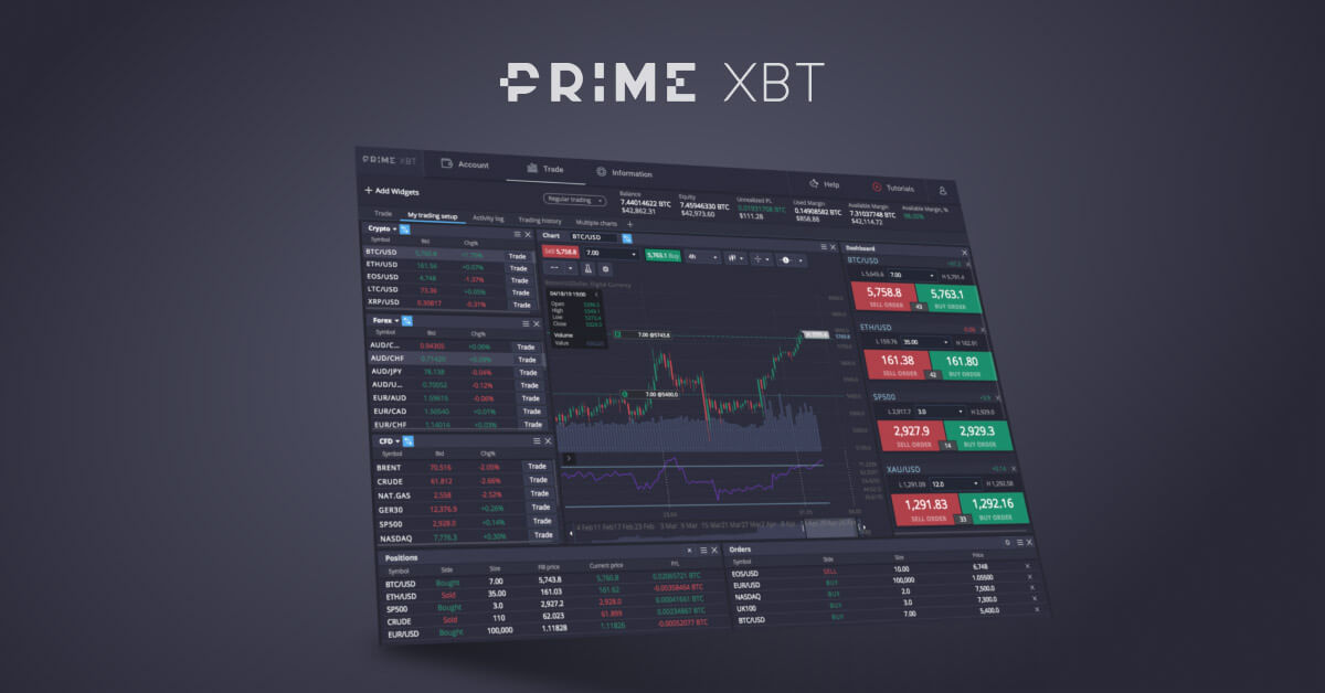 Discover the Advantages of Copy Trading PrimeXBT