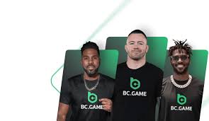 Understanding the Importance of Verification BC.Game 3