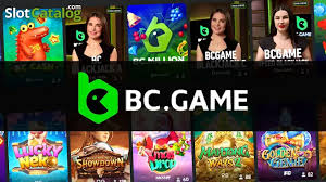 Everything You Need to Know About Bcigra Sport Betting Everything You Need to Know About Bcigra Sport Betting
