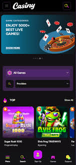 Experience the Thrill of Online Gaming at Casiny Casino 53